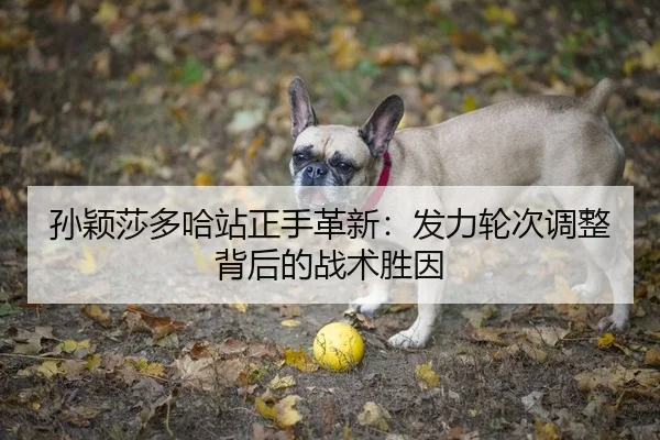 孙颖莎多哈站正手革新：发力轮次调整背后的战术胜因